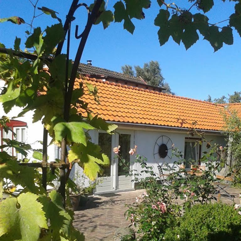 De Vrijheid-Melkstal Daire De Cocksdorp  Dış mekan fotoğraf